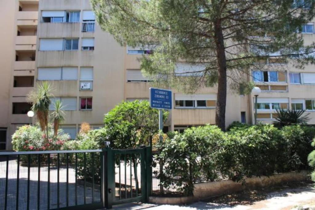 Studio Hyeres Port Et Iles D'Or. מראה חיצוני תמונה