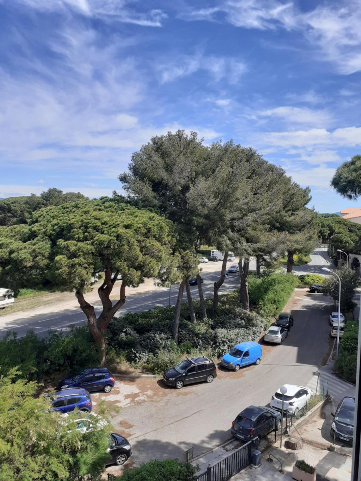 Studio Hyeres Port Et Iles D'Or. מראה חיצוני תמונה